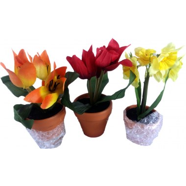 Kwiaty w doniczce 20cm: żonkil,tulipan żółte/czerwone/pomarańcz